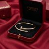5. CT0007-gold (6)